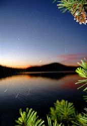 Little spider in its web near the water... by Shawn Jackson 